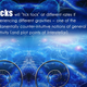 Illustration for article titled The Secrets Of The Theory of General Relativity In An Alphabetic Primer